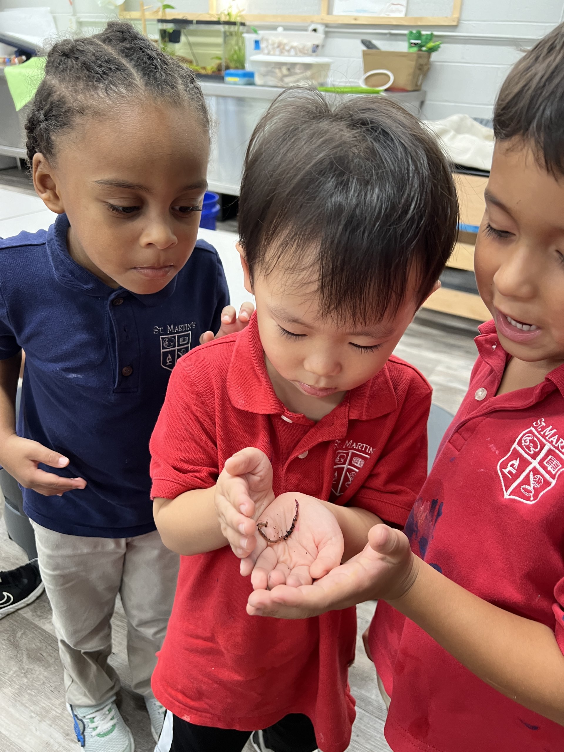 Students Explore Agriculture by Growing Microgreens in Science Lab